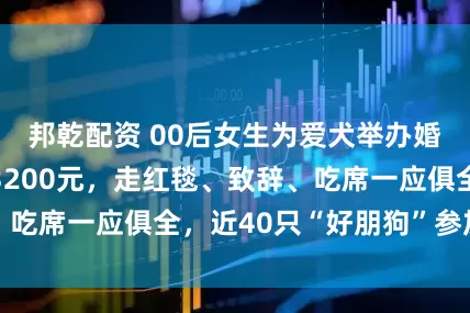 邦乾配资 00后女生为爱犬举办婚礼,整场花费3200元,走红毯、致辞、吃席一应俱全,近40只“好朋狗”参加婚礼