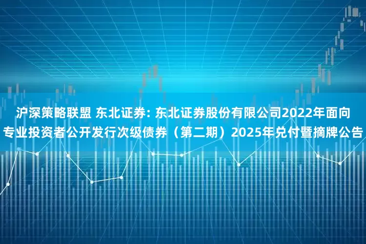 沪深策略联盟 东北证券: 东北证券股份有限公司2022年面向专业投资者公开发行次级债券(第二期)2025年兑付暨摘牌公告